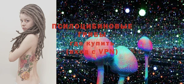 винт Осташков