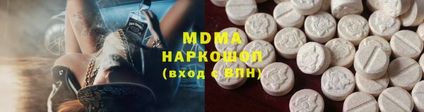 прущие грибы Ельня